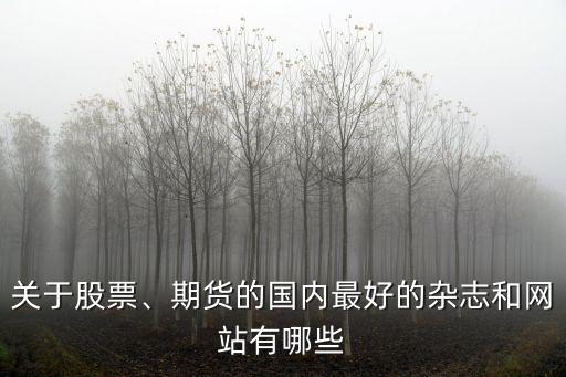 關(guān)于股票、期貨的國內(nèi)最好的雜志和網(wǎng)站有哪些