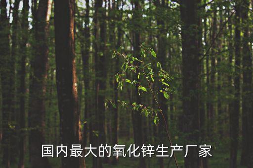 國內(nèi)最大的氧化鋅生產(chǎn)廠家