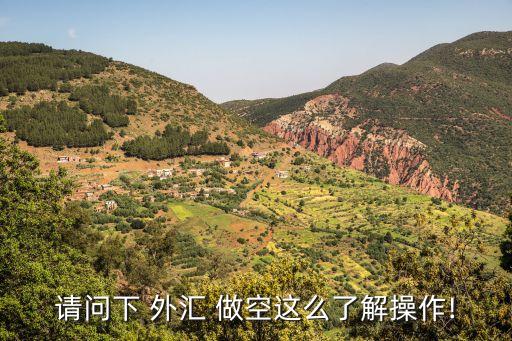 請(qǐng)問(wèn)下 外匯 做空這么了解操作!