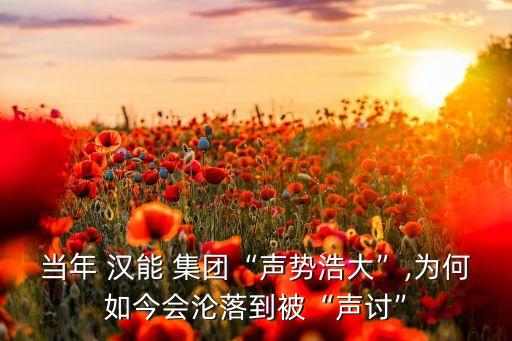 漢能集團的水電站,漢能水電站被拍賣結果