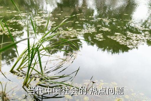 當(dāng)代中國社會的 熱點問題