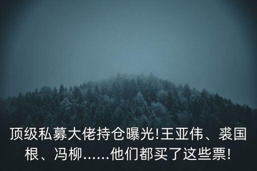 頂級私募大佬持倉曝光!王亞偉、裘國根、馮柳……他們都買了這些票!