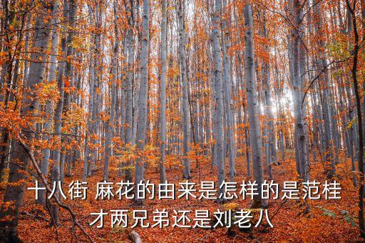 十八街麻花公司領導,桂發(fā)祥十八街麻花價格表
