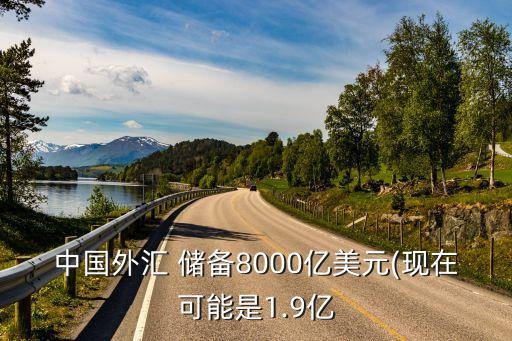 中國外匯 儲(chǔ)備8000億美元(現(xiàn)在可能是1.9億