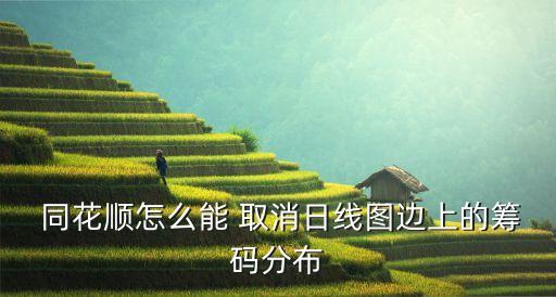  同花順怎么能 取消日線(xiàn)圖邊上的籌碼分布