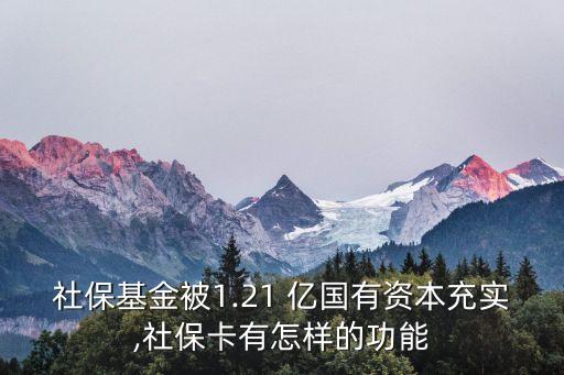 社?；鸨?.21 億國有資本充實(shí),社保卡有怎樣的功能
