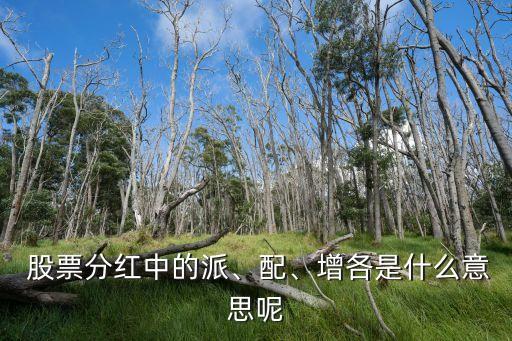  股票分紅中的派、配、增各是什么意思呢