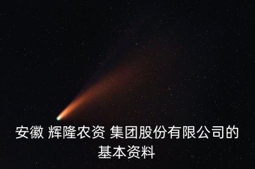 安徽 輝隆農(nóng)資 集團股份有限公司的基本資料