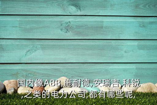 國(guó)內(nèi)像ABB,施耐德,安瑞吉,科銳,之類的電力公司,都有哪些呢,