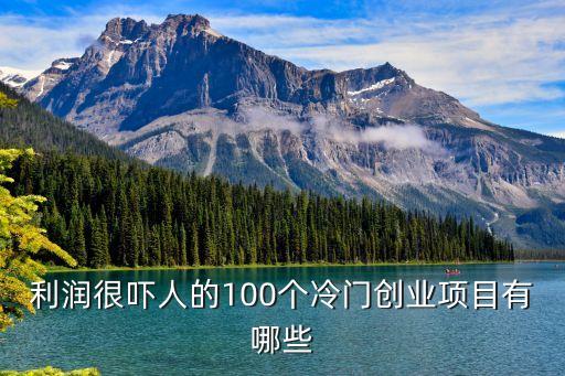 利潤很嚇人的100個(gè)冷門創(chuàng)業(yè)項(xiàng)目有哪些