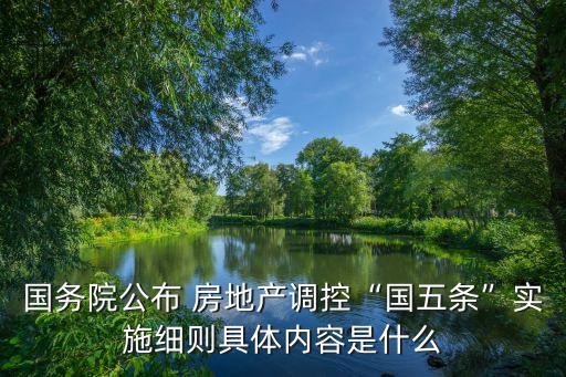 國務院公布 房地產調控“國五條”實施細則具體內容是什么
