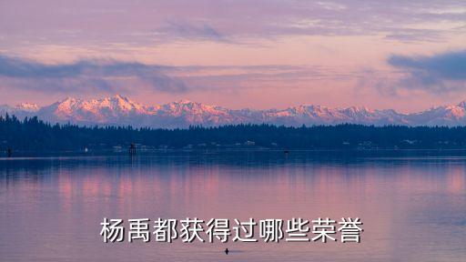 楊禹都獲得過(guò)哪些榮譽(yù)