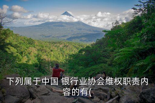 下列屬于中國 銀行業(yè)協(xié)會(huì)維權(quán)職責(zé)內(nèi)容的有(