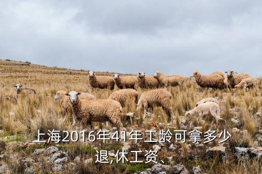  上海2016年41年工齡可拿多少退,休工資、
