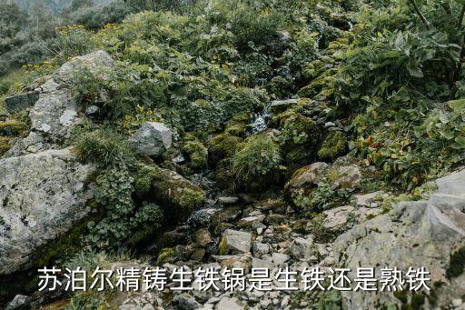 蘇泊爾的股票代碼