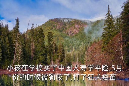 小孩在學(xué)校買了中國人壽學(xué)平險(xiǎn),5月份的時候被狗咬了,打了狂犬疫苗
