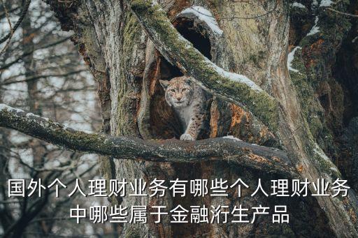 國外個人理財業(yè)務有哪些個人理財業(yè)務中哪些屬于金融洐生產(chǎn)品