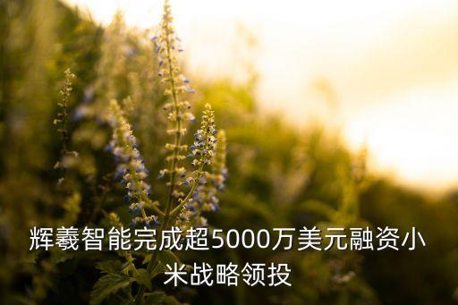 輝羲智能完成超5000萬(wàn)美元融資小米戰(zhàn)略領(lǐng)投
