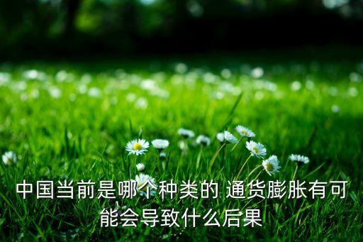 中國當前是哪個種類的 通貨膨脹有可能會導(dǎo)致什么后果