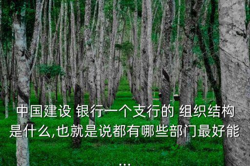 中國建設 銀行一個支行的 組織結(jié)構是什么,也就是說都有哪些部門最好能...