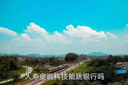 中國(guó)人壽布局移動(dòng)互聯(lián)網(wǎng)