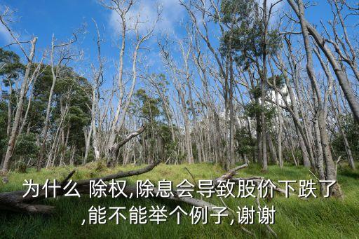為什么 除權,除息會導致股價下跌了,能不能舉個例子,謝謝