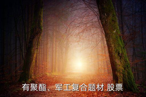 有聚酯、軍工復(fù)合題材 股票