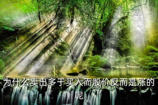 為什么賣(mài)出多于買(mǎi)入而股價(jià)反而是漲的呢