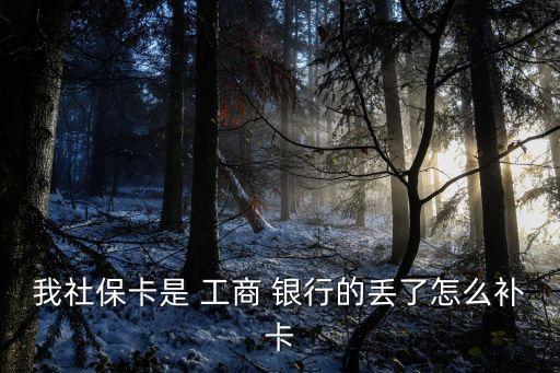我社?？ㄊ?工商 銀行的丟了怎么補卡