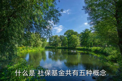 什么是 社?；鸸灿形宸N概念
