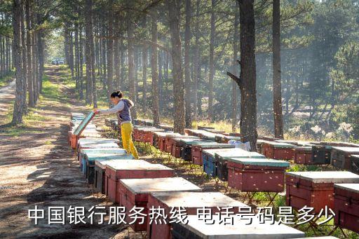  中國銀行服務熱線 電話號碼是多少