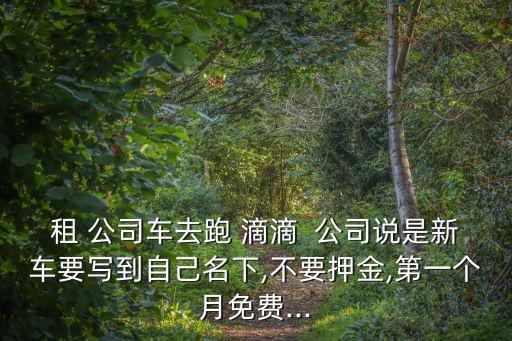 租 公司車去跑 滴滴  公司說是新車要寫到自己名下,不要押金,第一個(gè)月免費(fèi)...