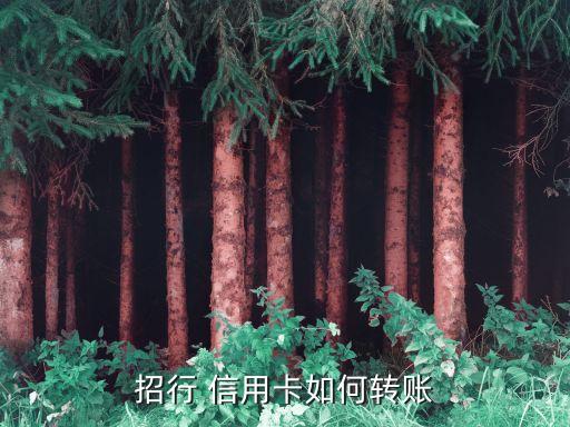 招行 信用卡如何轉賬