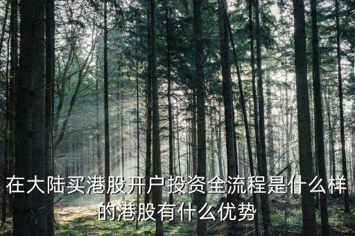 在大陸買(mǎi)港股開(kāi)戶投資全流程是什么樣的港股有什么優(yōu)勢(shì)