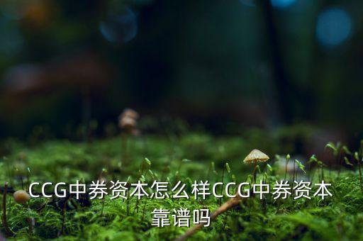 中長期投資與理財網,投資與理財論文3000字