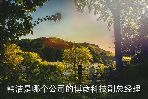 韓潔是哪個公司的博彥科技副總經理