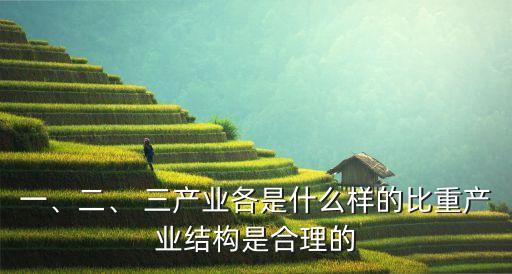 一、二、 三產(chǎn)業(yè)各是什么樣的比重產(chǎn)業(yè)結(jié)構(gòu)是合理的