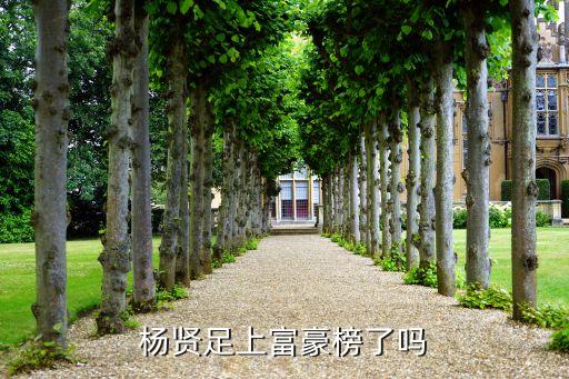 廣東猛獅集團(tuán),猛獅集團(tuán)陳樂(lè)強(qiáng)