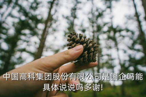 中國(guó)高科集團(tuán)股份有限公司是國(guó)企嗎能具體說(shuō)說(shuō)嗎多謝!
