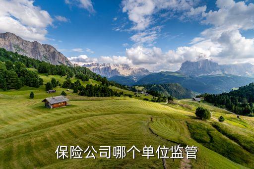 保險(xiǎn)公司哪個單位監(jiān)管