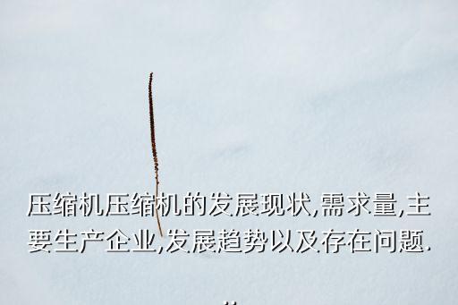 壓縮機(jī)壓縮機(jī)的發(fā)展現(xiàn)狀,需求量,主要生產(chǎn)企業(yè),發(fā)展趨勢(shì)以及存在問(wèn)題...
