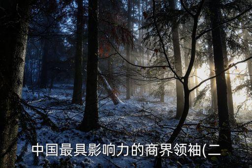 中國(guó)最具影響力的商界領(lǐng)袖(二
