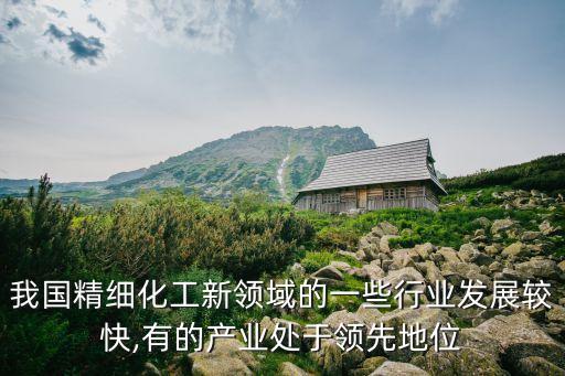 我國精細化工新領域的一些行業(yè)發(fā)展較快,有的產(chǎn)業(yè)處于領先地位