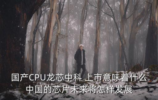 國產CPU龍芯中科 上市意味著什么中國的芯片未來將怎樣發(fā)展