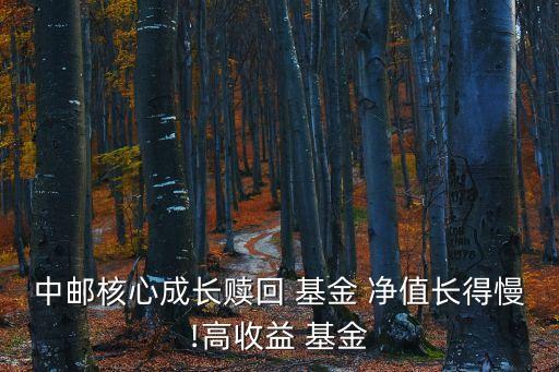 590002基金今天凈值查詢結(jié)果,161031基金今天凈值查詢結(jié)果