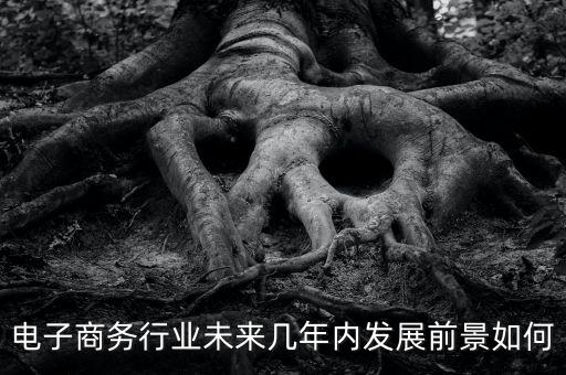 電子商務行業(yè)未來幾年內(nèi)發(fā)展前景如何
