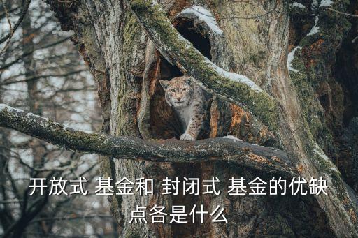 開放式 基金和 封閉式 基金的優(yōu)缺點(diǎn)各是什么