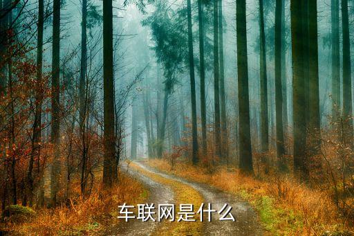 2014中國汽車行業(yè)企業(yè)社會(huì)責(zé)任報(bào)告