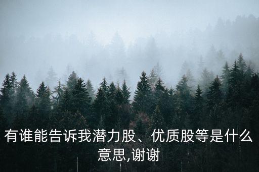 有誰能告訴我潛力股、優(yōu)質(zhì)股等是什么意思,謝謝