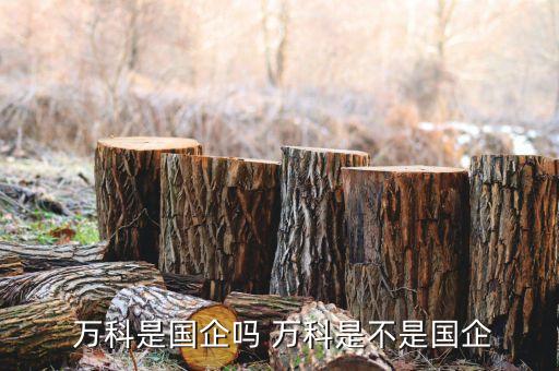  萬科是國(guó)企嗎 萬科是不是國(guó)企
